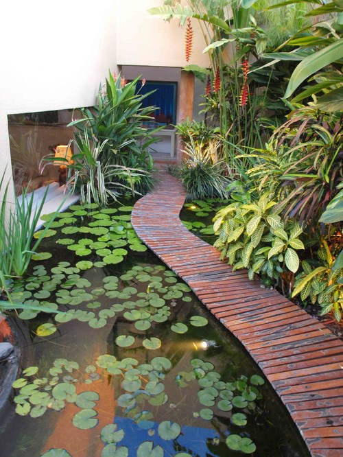 exotic landscape international ideas